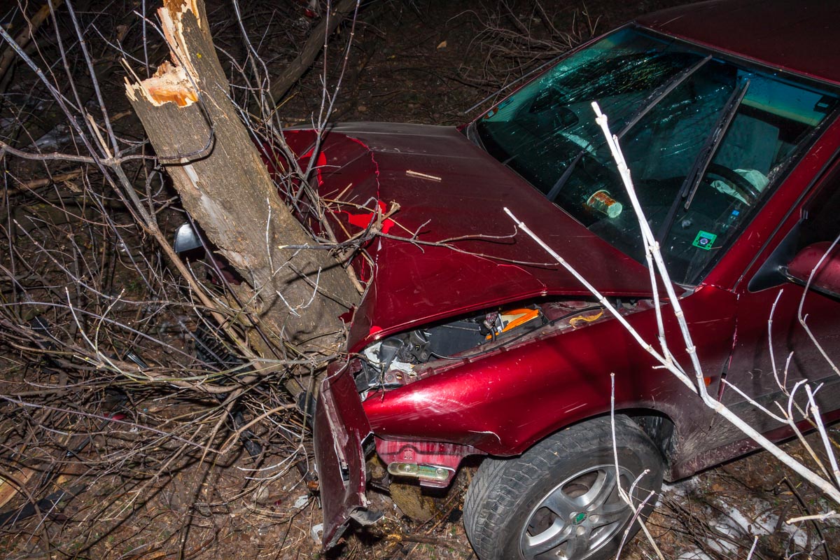 У Дніпрі іномарка врізалась в дерево, є постраждалі (Фото)
