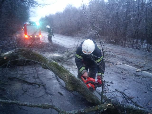 На Вінниччині дерево впало на дорогу