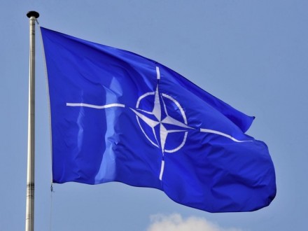 У НАТО допоможуть Україні ліквідувати наслідки кібератаки