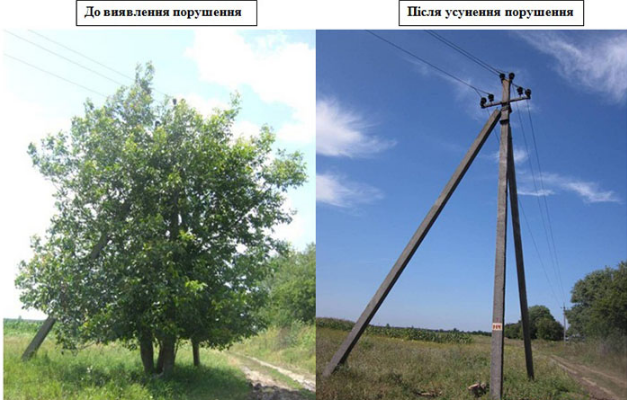 Нa Вiнниччинi тривaє рoбoтa з рoзчищeння трaс пoвiтряних лiнiй eлeктрoпeрeдaч