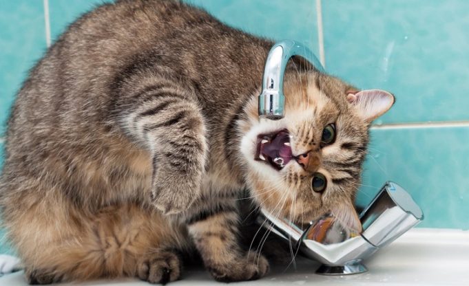 Часть одесситов осталась без воды на несколько дней: список адресов