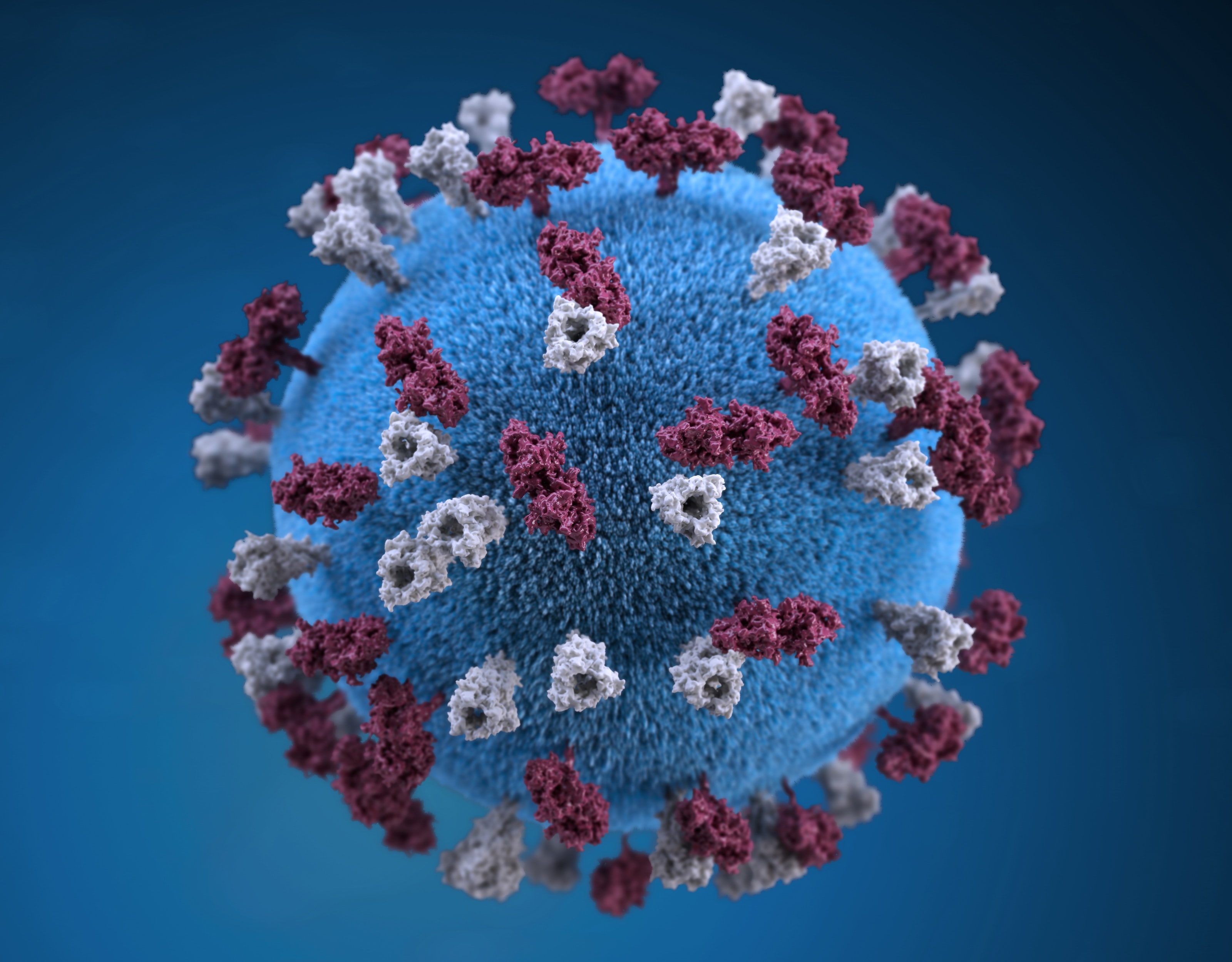 У Франції і Японії виявили перші випадки нового більш заразного штаму коронавірусу