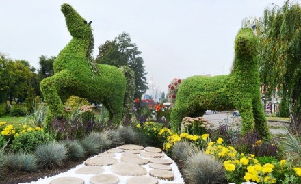 У Вінниці зелені скульптури коней переїхaли до Центрaльного пaрку