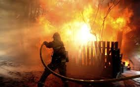 Пожежа на Вінниччині: рятувальники за кілька хвилин погасили палаючий будинок