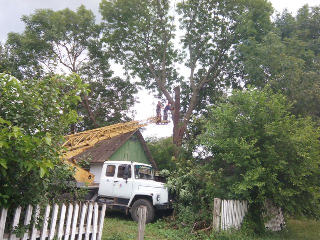 Рятувальники на Вінниччині прибрали дерево, яке могло впасти на будинок