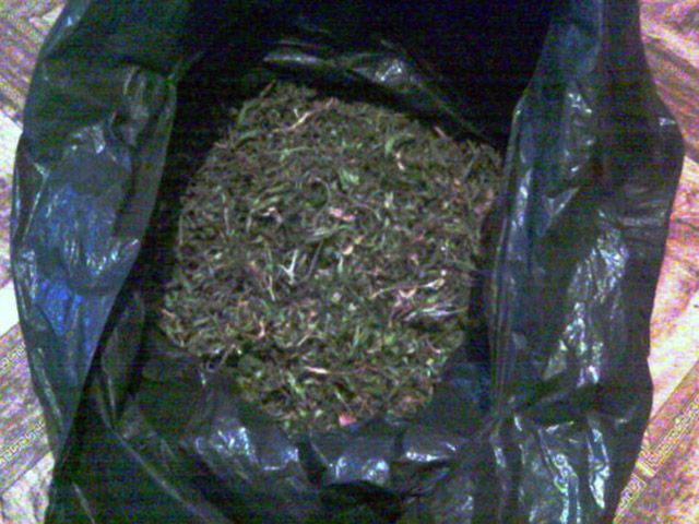 У 31-річного жителя Вінниччини поліція вилучила коноплю