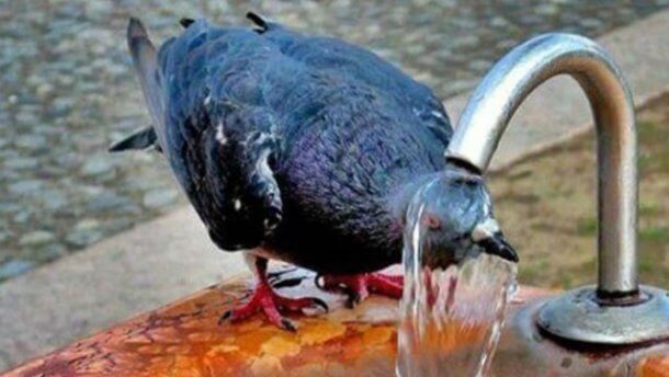 Прогноз погоди на 20 червня: нарешті справжня спека та грози