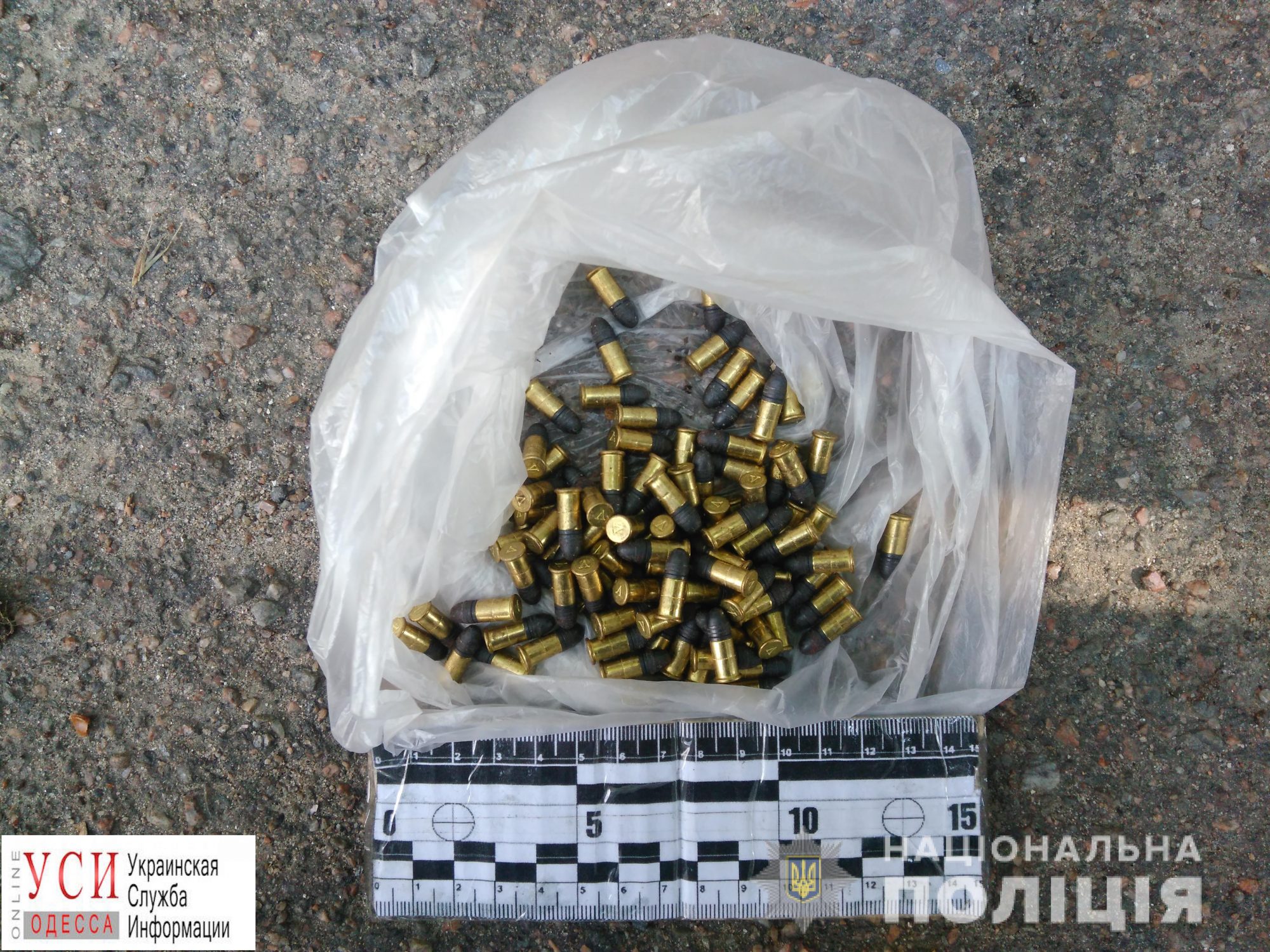 В Измаиле мужчина гулял по городу с сотней боеприпасов (фото)