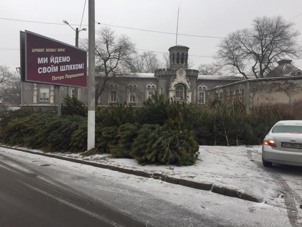 В Одессе «левые» елки и сосны продaют прямо возле отделения полиции   