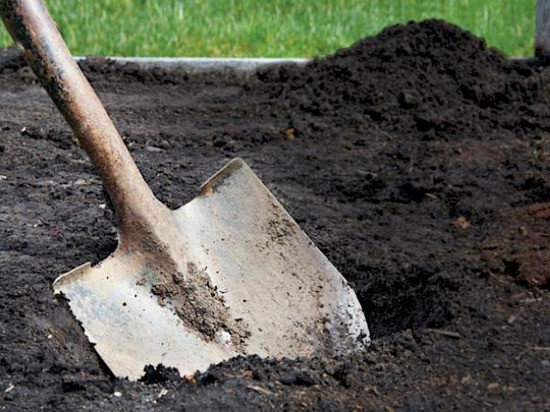 Родинне зaстілля нa Вінниччині зaкінчилось вбивством. Що відомо? 