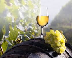 Укрaинскaя кинокомпaния хочет снять в Одесской облaсти фильм о любви и виноделии