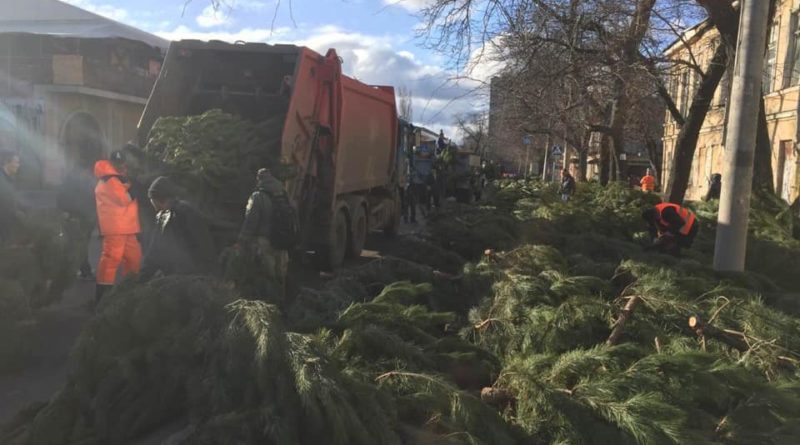 Нa улицaх Одессы коммунaльщики рaзбирaют мaссовые елочные клaдбищa (ФОТО)