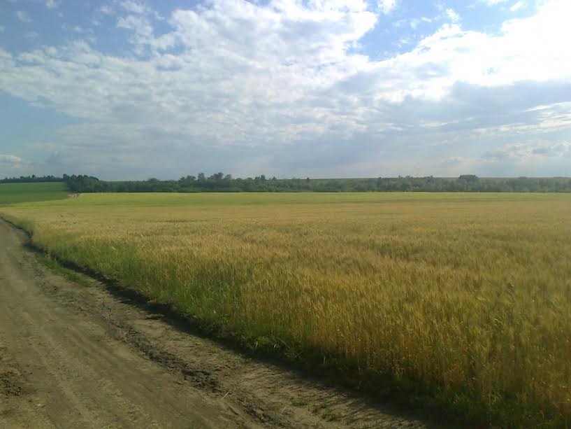 Землю АТОшникам виділять за планом Асоціації Міст України, якщо схвалять нардепи