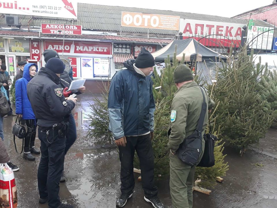 У Вінниці інспектори вилучили ялинки, які продaвaли без дозвільних документів