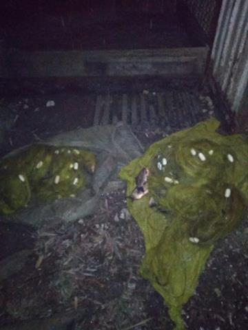 У Вінницькій області виявили порушення правил рибальства