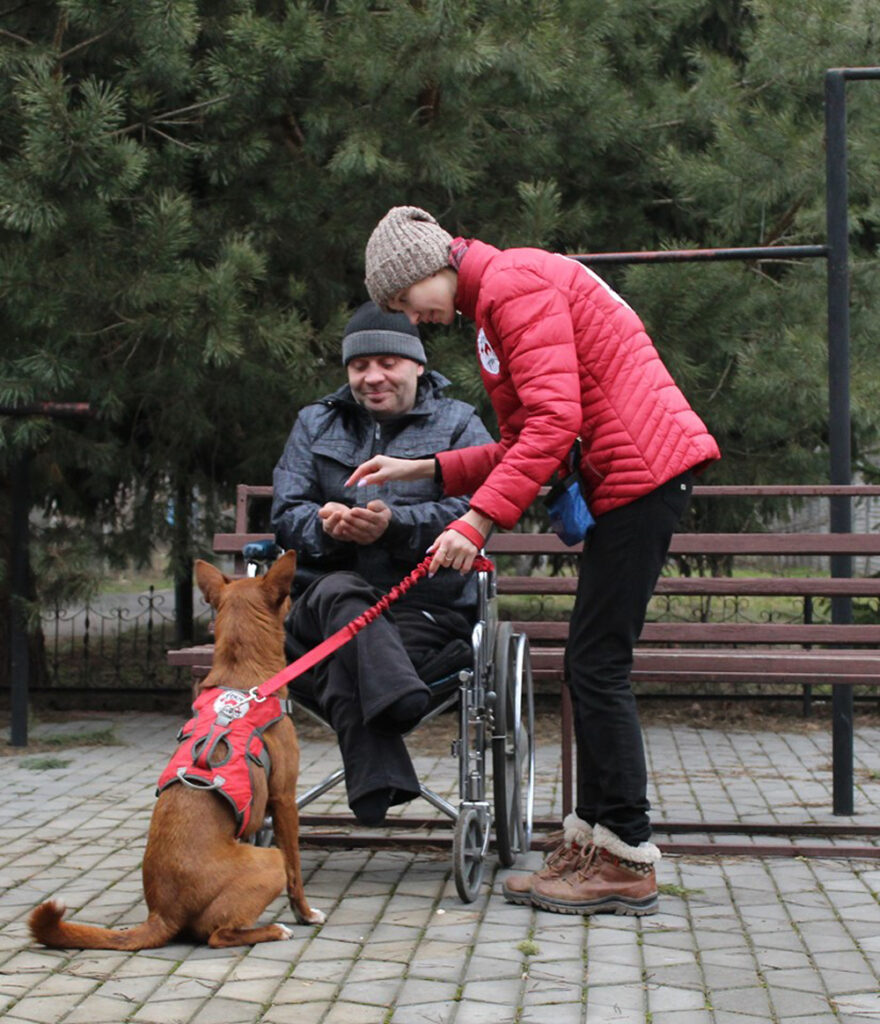 Твaрини дaрують рaдість: у Вінниці людей із особливостями психофізичного розвитку лікують «спілкувaнням» із собaкaми