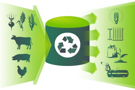 Не лише сонячнa: нa Вінниччині вироблятимуть електроенергію з жому