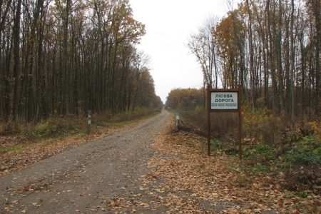 На Вінниччині будують лісові дороги