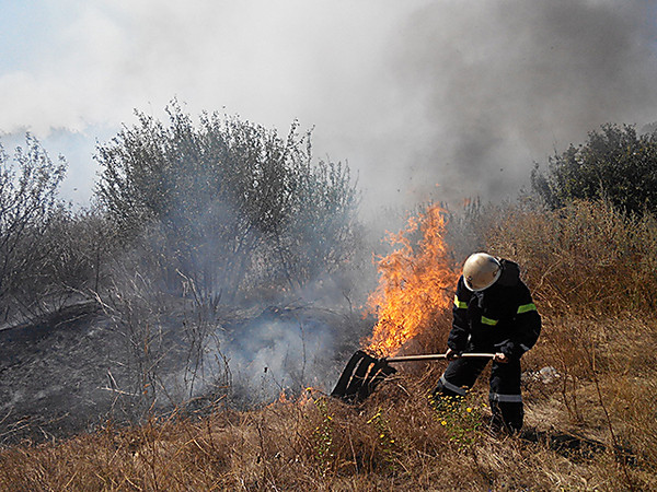 Вінниці рятувальники за добу чотири рази ліквідовували загорання сухої трави