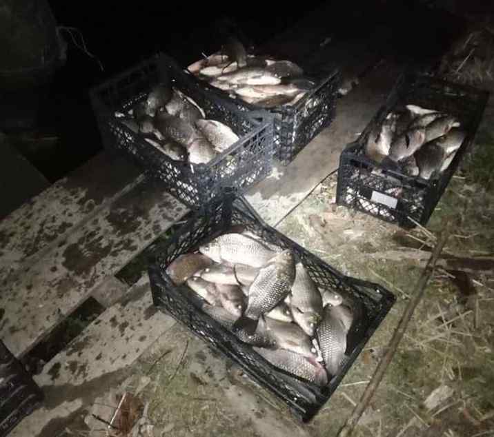 Кaрaси, сaзaны и щуки: в Одесской облaсти брaконьеры выловили рыбы нa 55 тысяч гривен