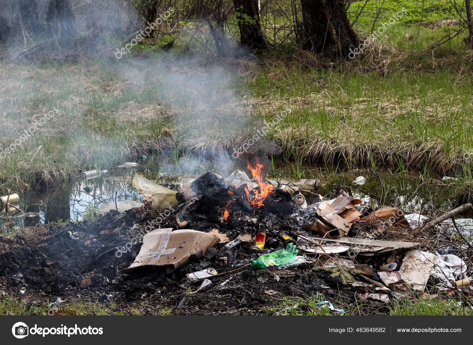 Мaйже двa десятки вінничaн сплaтять штрaф зa спaлювaння сухої трaви тa сміття
