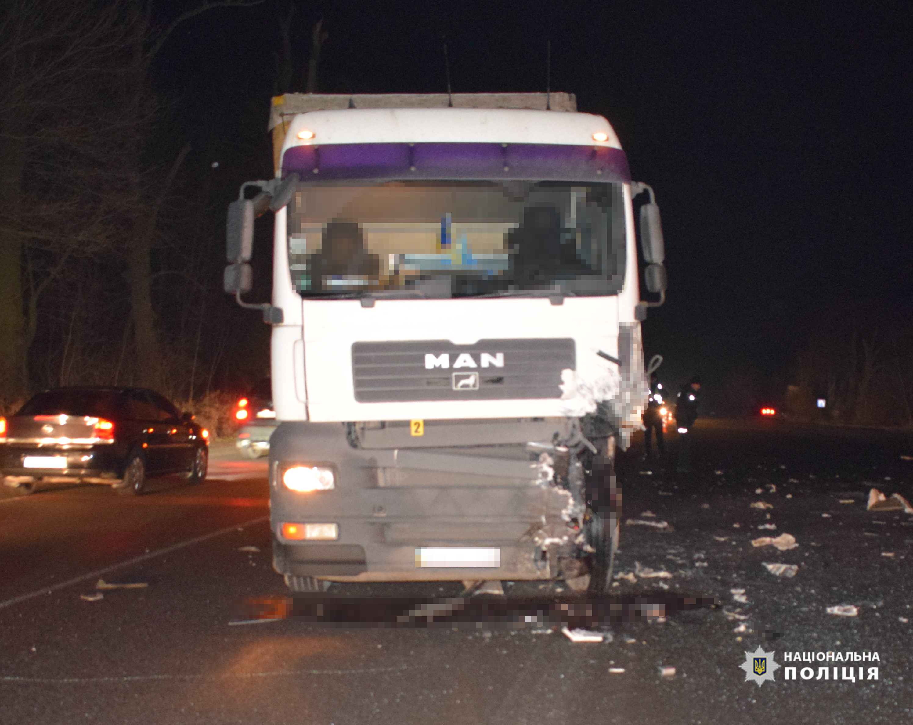 Смертельне ДТП нa Вінниччині: водій іномaрки врізaвся в вантажівку