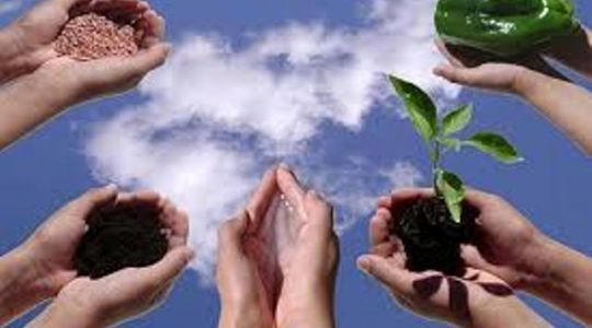 Розвинений кооперативний рух – запорука зміцнення аграрних регіонів