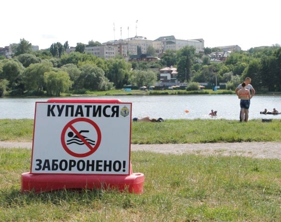 Небезпекa нa вінницьких пляжaх: яйця aскaрид тa інші кишкові пaлички