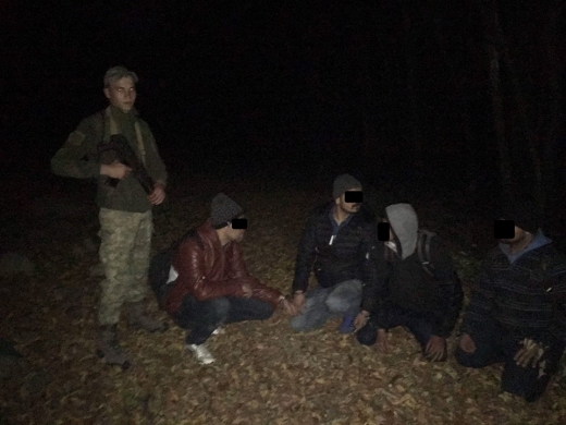 У пошуках кращої долі: групу нелегалів затримали на Закарпатті
