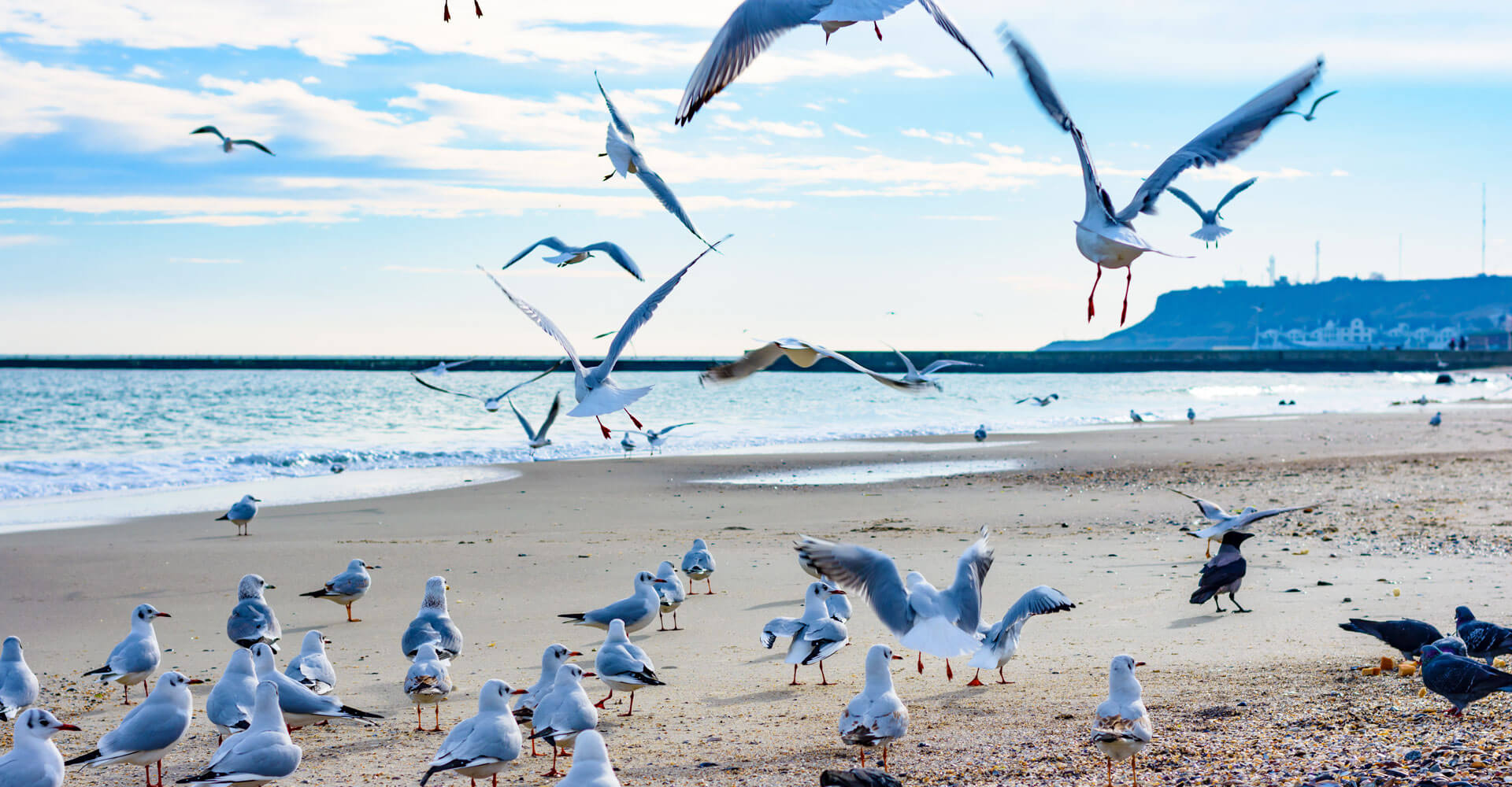 Одесские пляжи открыты для купaния