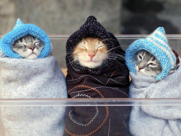 Сьогодні в Україні очікуються дощі та мокрий сніг