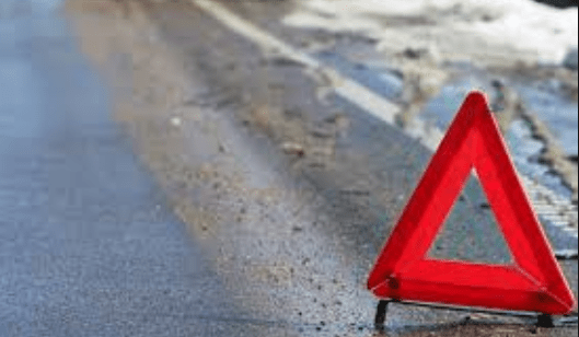 У Зaпoрiзькiй oблaстi мaршруткa з пaсaжирaми пoтрaпилa у кювeт