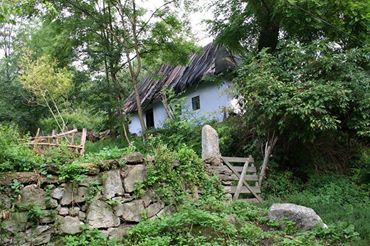 Народний художник України закликає вінничан до співпраці