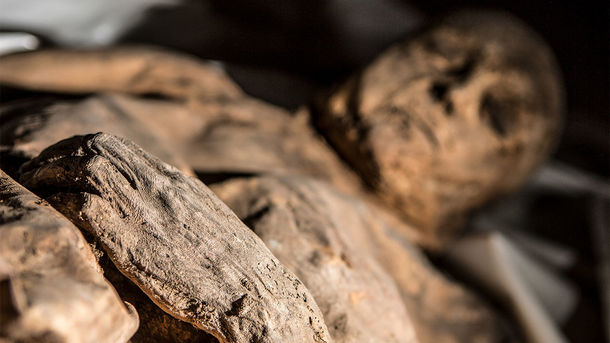 Моторошна знахідка: в Луцьку труп чоловіка пролежав у квартирі кілька років