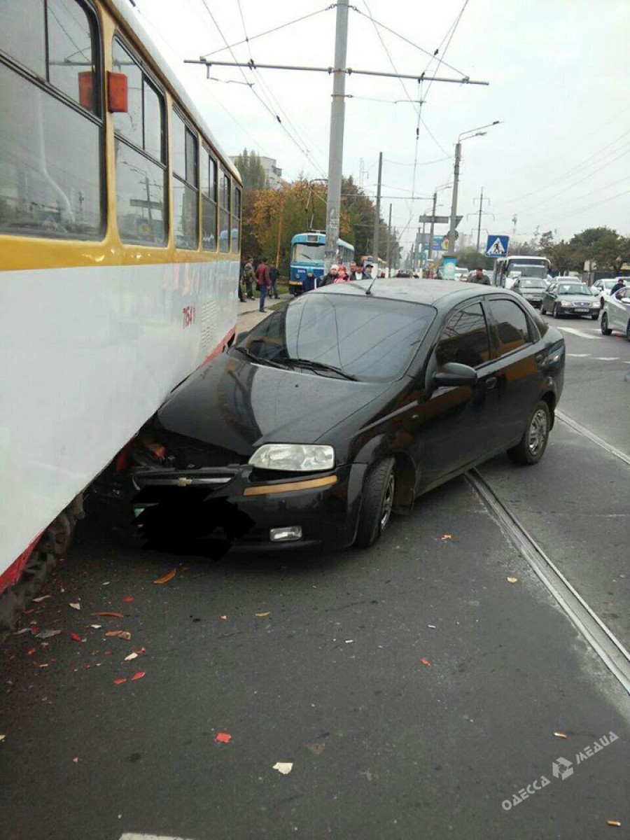 На Буковині єноти, що втекли з цирку, розгромили магазин (Фото)