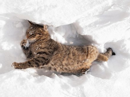 11 лютого в Україні хмарно з проясненнями