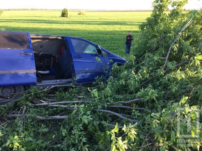 Водій маршрутки, що перекинулася на Полтавщині, заснув за кермом