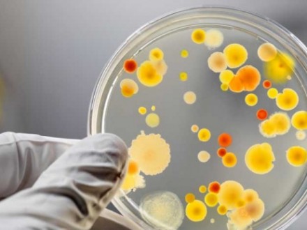 У Житомирі 13 дітей опинились в лікарні із харчовим отруєнням