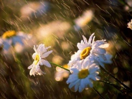 Сьогодні в Україні очікується нестійка погода