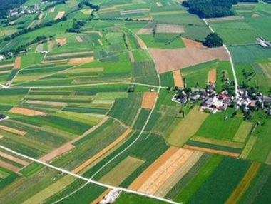 Землями поза межами населених пунктів відтепер розпоряджатимуться ОТГ