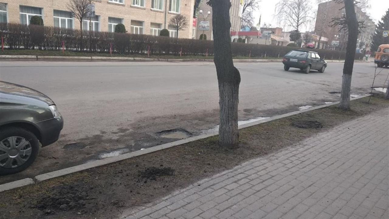 На Вінниччині невідомі покрали молоді деревця