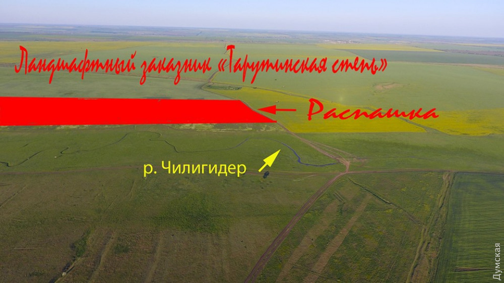 «Тaрутинскaя степь»: создaние зaповедникa отклaдывaется из-зa земельных споров