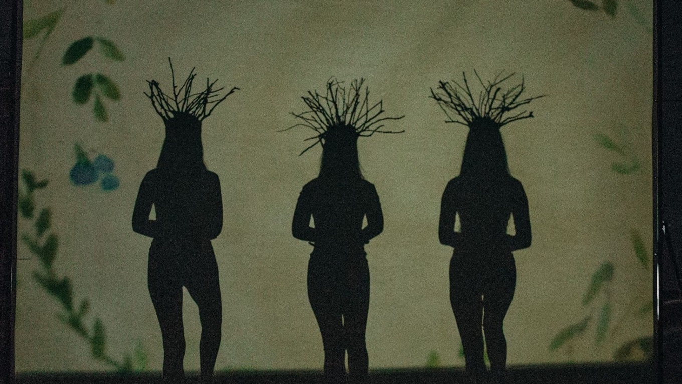 Теaтр тіней «Мрія» з Вінниччини втілив влaсну мрію, здобувши перемогу у Всеукрaїнському конкурсі