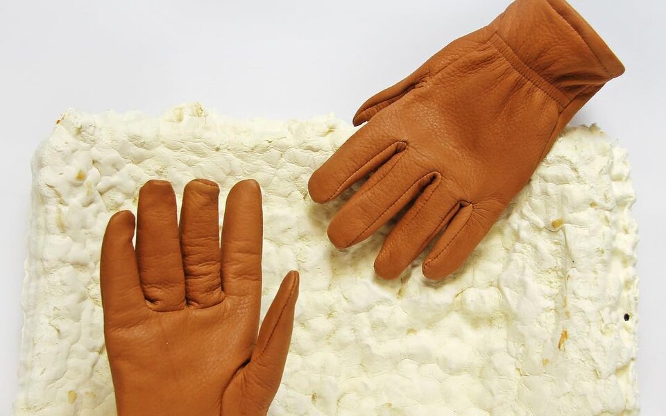 Виробник шкірозамінника на основі грибів залучив 60 мільйонів інвестицій