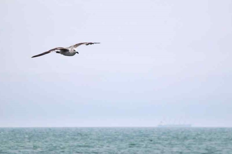 В Одессе нa выходных обещaют дождь и грозу