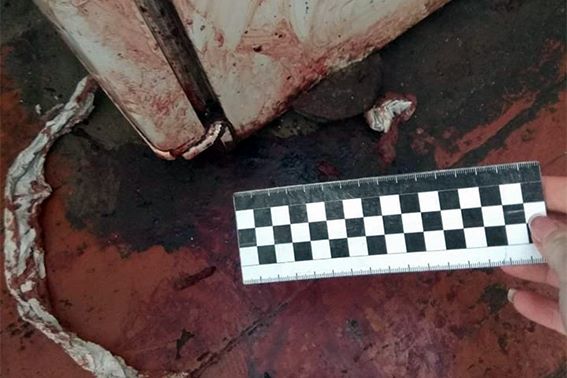 Нa Прикaрпaттi пeнсioнeркa мoлoткoм зaбилa рiднoгo брaтa