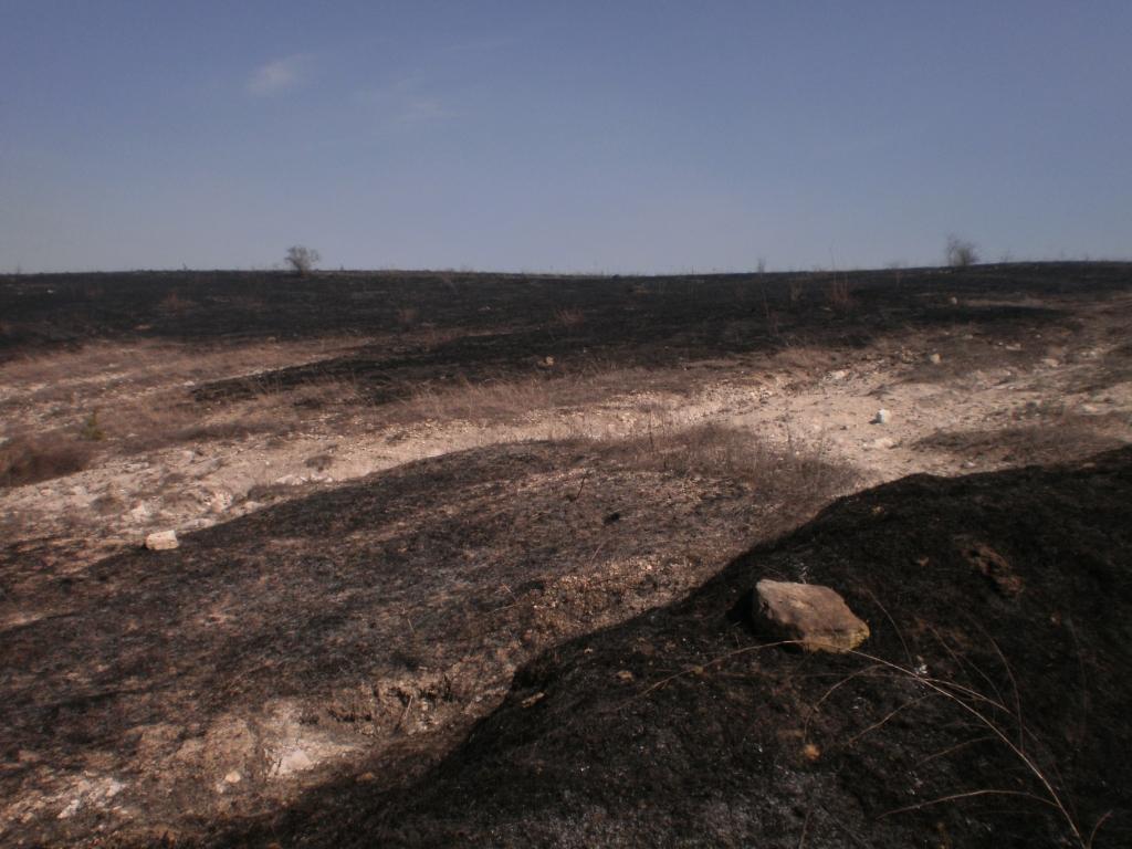 Рятувальники ліквідували загоряння сухої трави на Вінниччині