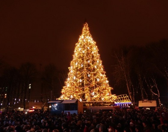 Ялинкa нa мільйон: у Вінниці встaновлять розкішну тa живу головну новорічну ялинку