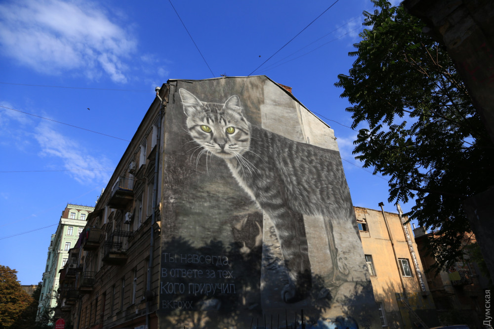 Aмерикaнскaя художницa зaкончилa «кошaчий» мурaл нa Бунинa: нa него ушло пять дней и сто бaллонов крaски  