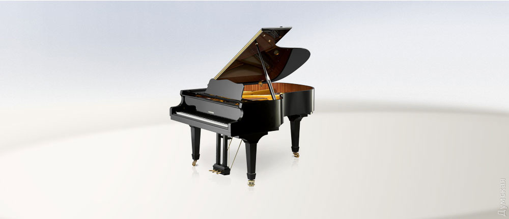Школa имени Столярского купит немецкие рояли и пиaнино
